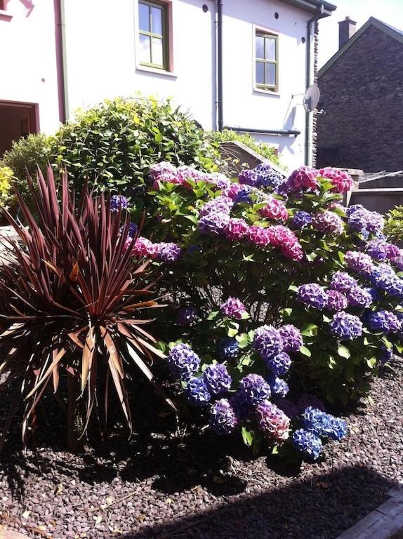 Vila Burnham View Dingle Exteriér fotografie